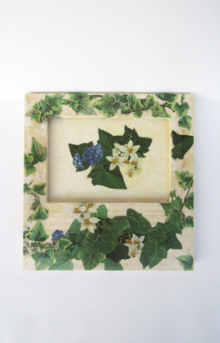 Cornici e clip portafotografie